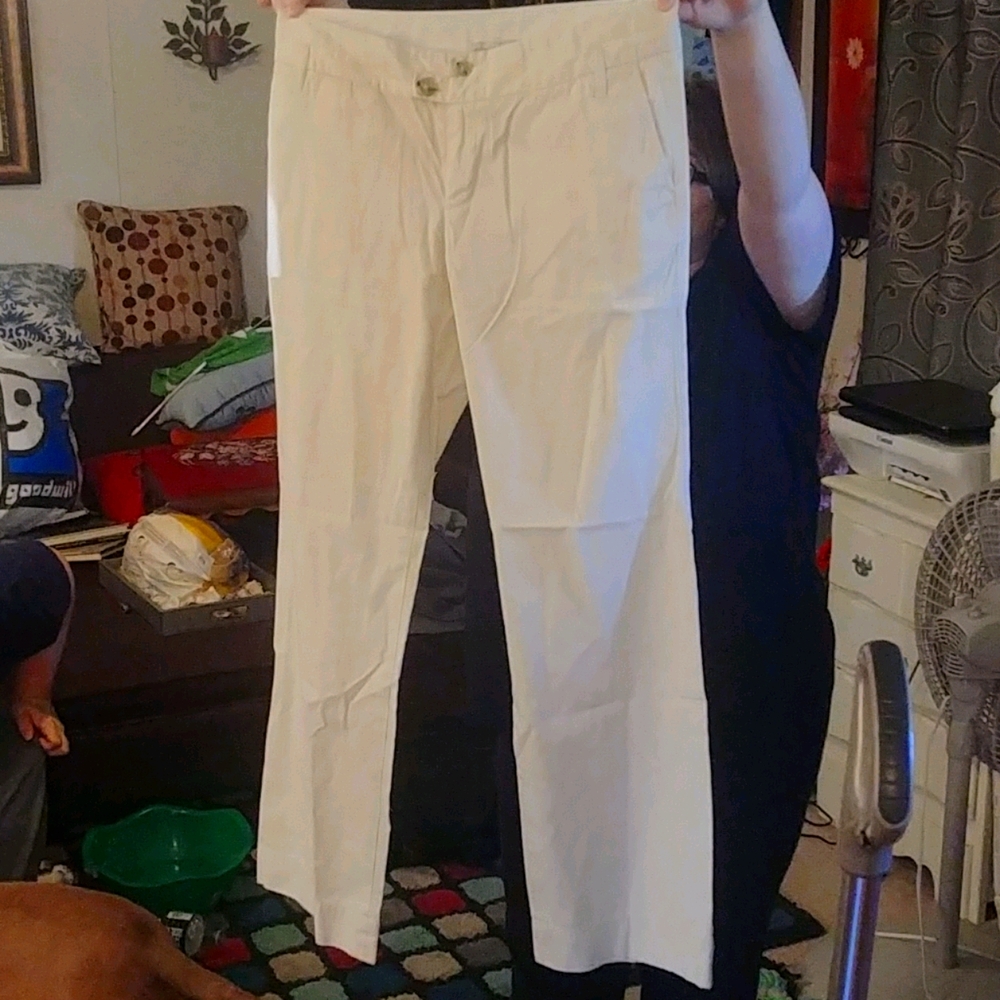 Banana Republic Cream Color Pants